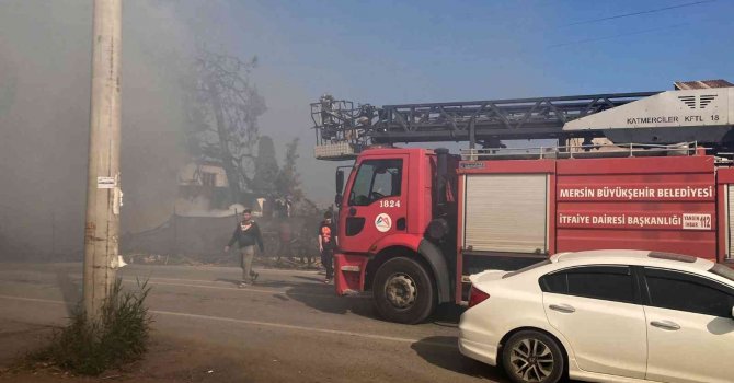 Yangın devasa ağacı sardı, ekiplerin müdahalesi ile eve sıçramadan söndürüldü