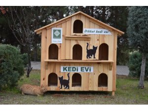 Osmaniye Belediyesinin kedi evleri "can dostlara" yuva oldu