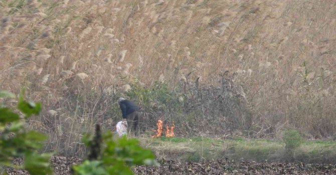 Sazlık alanda yangın çıkartan şahıs suçüstü yakalandı