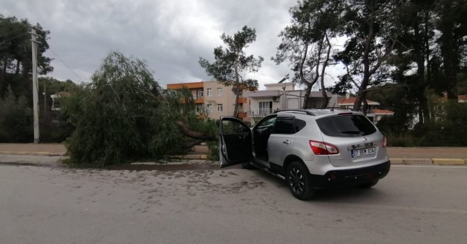 Kontrolden çıkan araç kaldırımdaki ağacı yerinden söktü: 1 yaralı