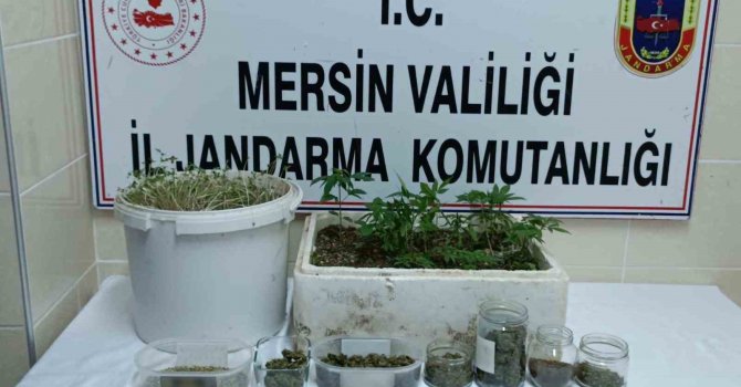 Mersin’de uyuşturucu operasyonu: 1 tutuklu