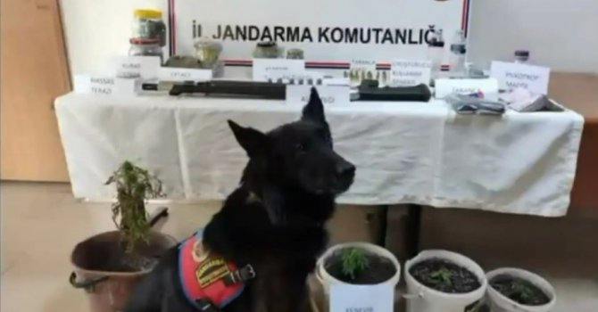 Jandarmadan uyuşturucu operasyonu, 4 şüpheli yakalandı