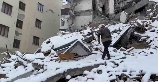 TSK’ya ait arama kurtarma köpekleri enkaz çalışmalarında görev alıyor