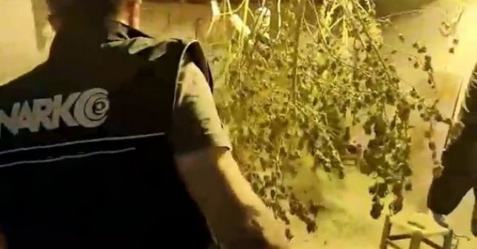 Aydın’da uyuşturucu satıcısı tutuklandı