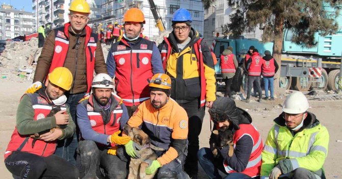 Ezan okunurken uluyan köpek ve yavruları, sesi fark eden görevlilerce enkazdan kurtarıldı