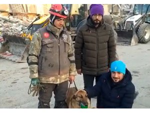 MSB: “Sıla gibi sahada görev yapan tüm can dostlarımıza; iyi ki varsınız, iyi ki bizimlesiniz”