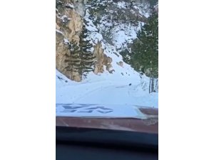 Kahramanmaraş’ta köpek yardım konvoyuna köye kadar rehberlik etti