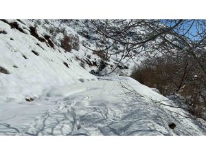 Hakkari’de 13 yerleşim yerinin yolu kapandı