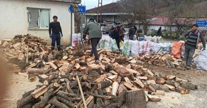 Vatandaşlar deprem bölgesine odun göndermek için seferber oldu