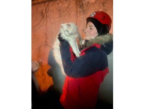 GÜRAK ekibi Sakız’la yorgunluklarını unuttu