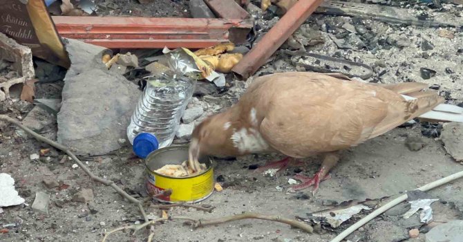 Deprem bölgesi Hatay’da Türk askerinin şefkati yürekleri ısıttı