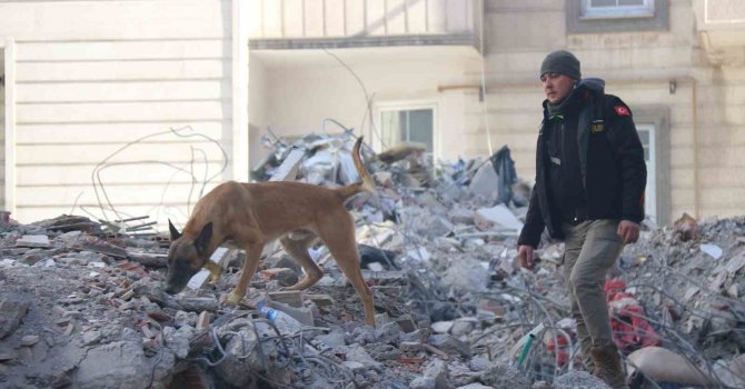 Diyarbakır’da depremde 7 sağlık çalışanı hayatını kaybetti