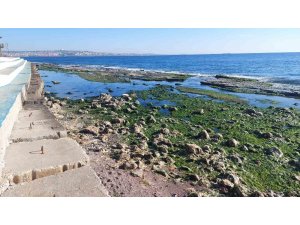 Marmara Denizi 25 metre çekildi: "Depremle alakası yok"