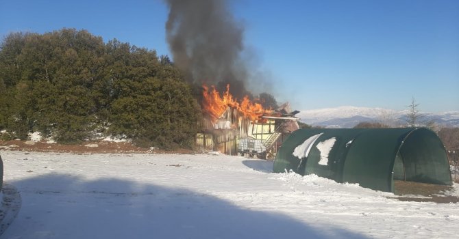 Bağ evinde çıkan yangın ormana sıçramadan söndürüldü