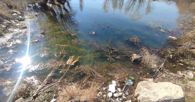 Elektrik parasını zimmetine geçiren muhtarın yaptığı akıllara durgunluk verdi