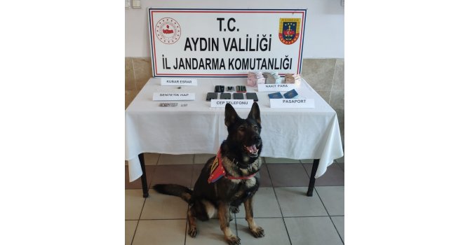 Nazilli’de fuhuş operasyonu