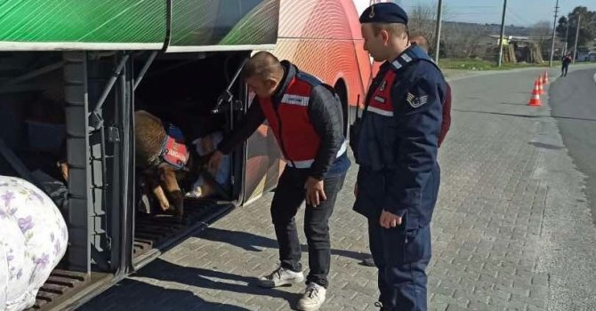 Yolcu otobüsünde uyuşturucu ile yakalandılar