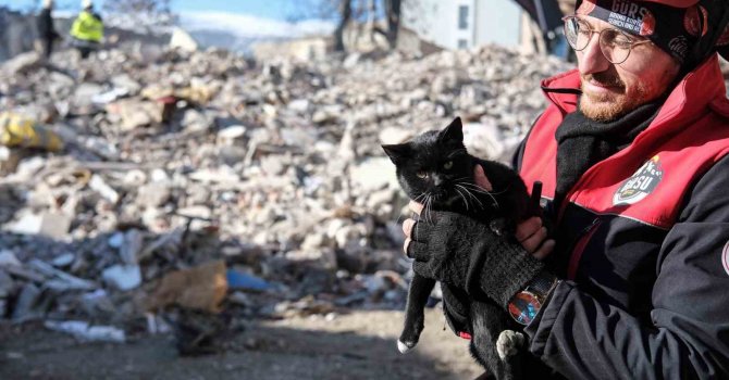 Kahramanmaraş’ta 174 saat sonra enkazdan ‘Ardıç’ isimli kedi kurtarıldı