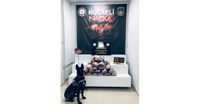 20 kilo uyuşturucuyu tırın yatak kısmına gizlemiş