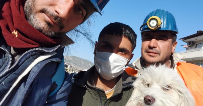 Zonguldaklı madenciler 203’üncü saatte Ponti’yi kurtardı