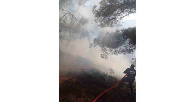 Mersin’de orman  yangını, kontrol altına alındı