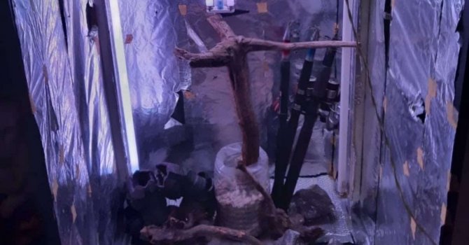 Tekirdağ’da uyuşturucu operasyonu