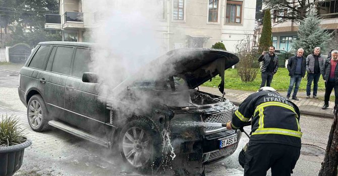 Park halindeki lüks cipte yangın çıktı