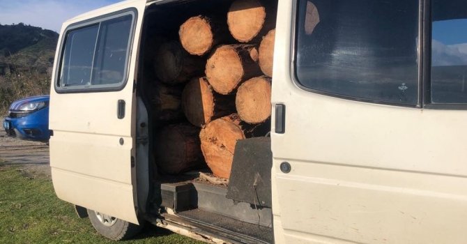 Ormanlık alandan aldığı ağaç parçalarını aracı ile taşırken yakalandı