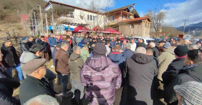 Dut ağacını budamak için çıktığı merdivende kalp krizinden öldü