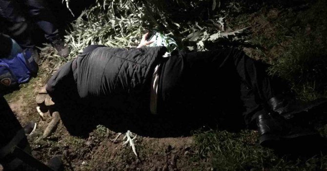 Yüksekten düşen alkollü şahıs ekipten özür diledi