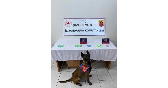 Çankırı’da uyuşturucu operasyonunda bir şahıs tutuklandı