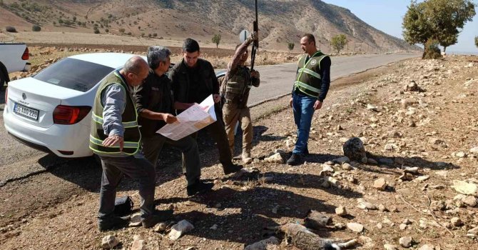Siirt’te depremden etkilendiği değerlendirilen yaban hayvanlarının korunması için av yasağı başladı