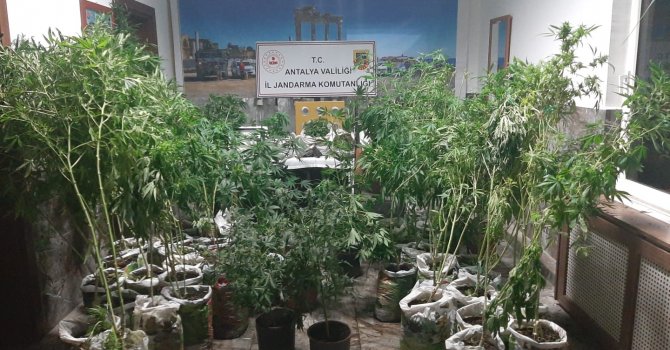 Antalya’da 27 kilogram esrar ele geçirildi
