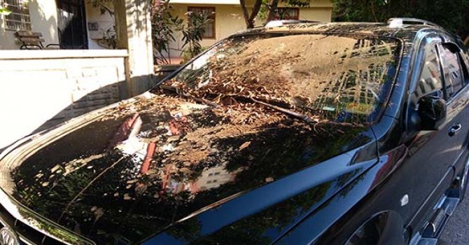 Gazeteciye 10 Ocak hediyesi!