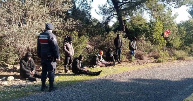 Jandarma düzensiz göçmenleri sazlık alanda yakaladı