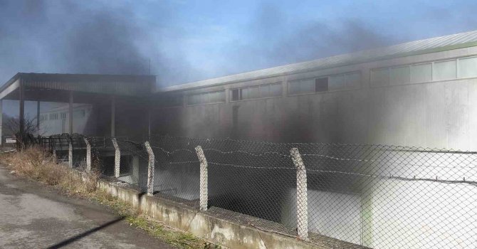 Trabzon’un Arsin ilçesinde bir depoda çıkan yangın ve yoğun duman paniğe neden oldu