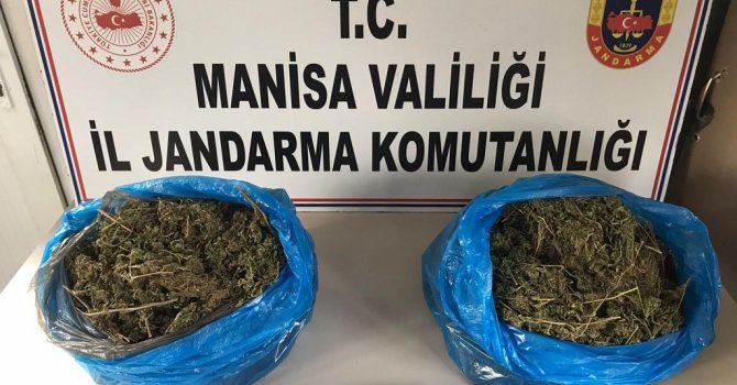 Manisa’da uyuşturucunun kökü kuruyacak