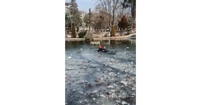 Gölete düşen depremzede çocuğu polis kurtardı