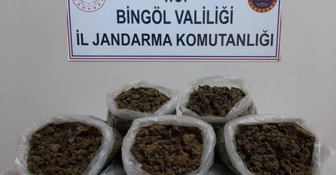 Bingöl’de 3 kilo esrar ele geçirildi: 2 gözaltı