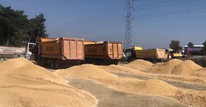 Siirt’ten giden ekip Hatay’da şantiye kurdu