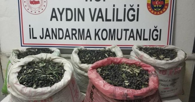 Çaldılar, yağ yapıp sattılar