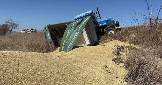Kamyon traktöre çarptı, bir römork arpa yola ve tarlaya saçıldı
