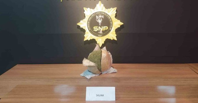 Şanlıurfa’da durdurulan otobüsten uyuşturucu çıktı