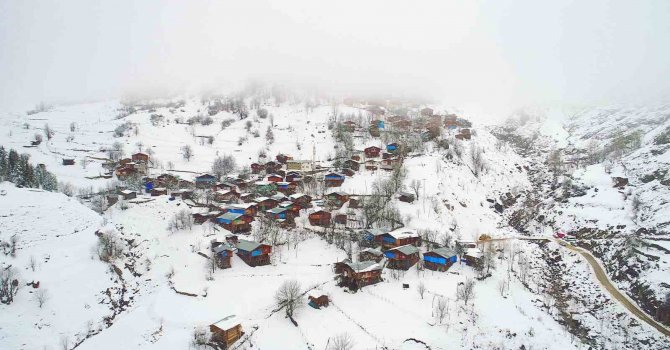 Artvin’de çığ altında kalan bir kişi kurtarıldı