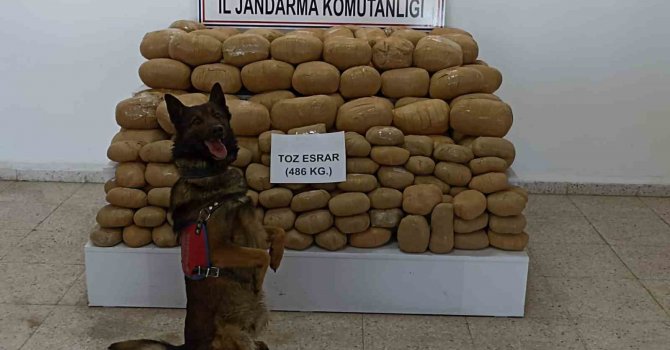 Van’da 486 kilogram toz esrar ele geçirildi