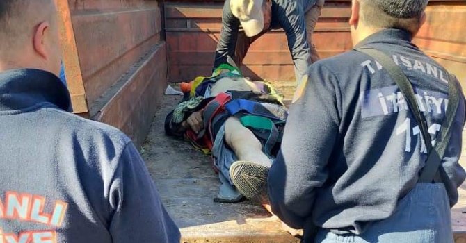 Tavşanlı’da kestiği ağacın altında kalan köylü ağır yaralandı