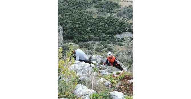 Kayalıkta mahsur kalan keçileri MAG AME ekibi kurtardı