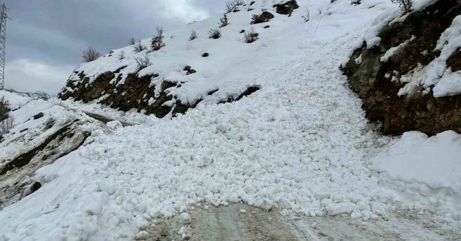 Siirt’te çığ düşmesi sonucu öğrenci ve öğretmenler yolda mahsur kaldı