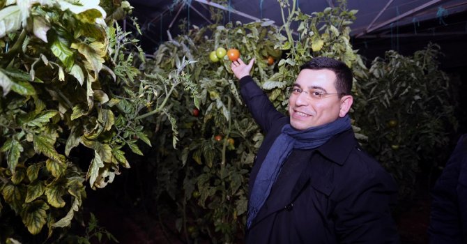 Tütüncü çiftçilerle ‘Zirai don’ nöbetinde