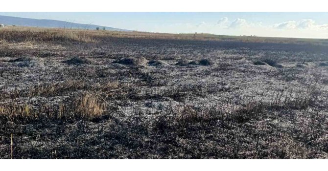 Koruma altındaki Göksu Deltası’nda çıkan yangın kendiliğinden söndü